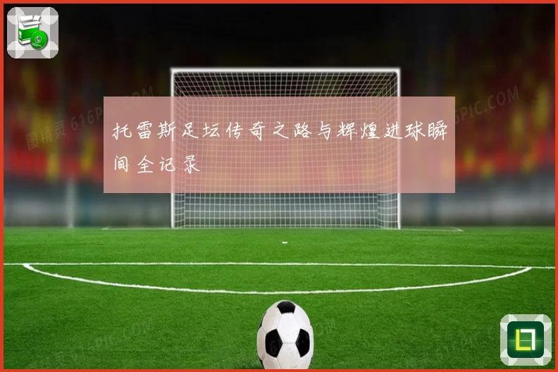 托雷斯足坛传奇之路与辉煌进球瞬间全记录