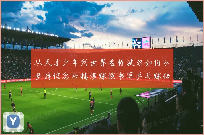 从天才少年到世界名将波尔如何以坚持信念和精湛球技书写乒乓球传奇人解析