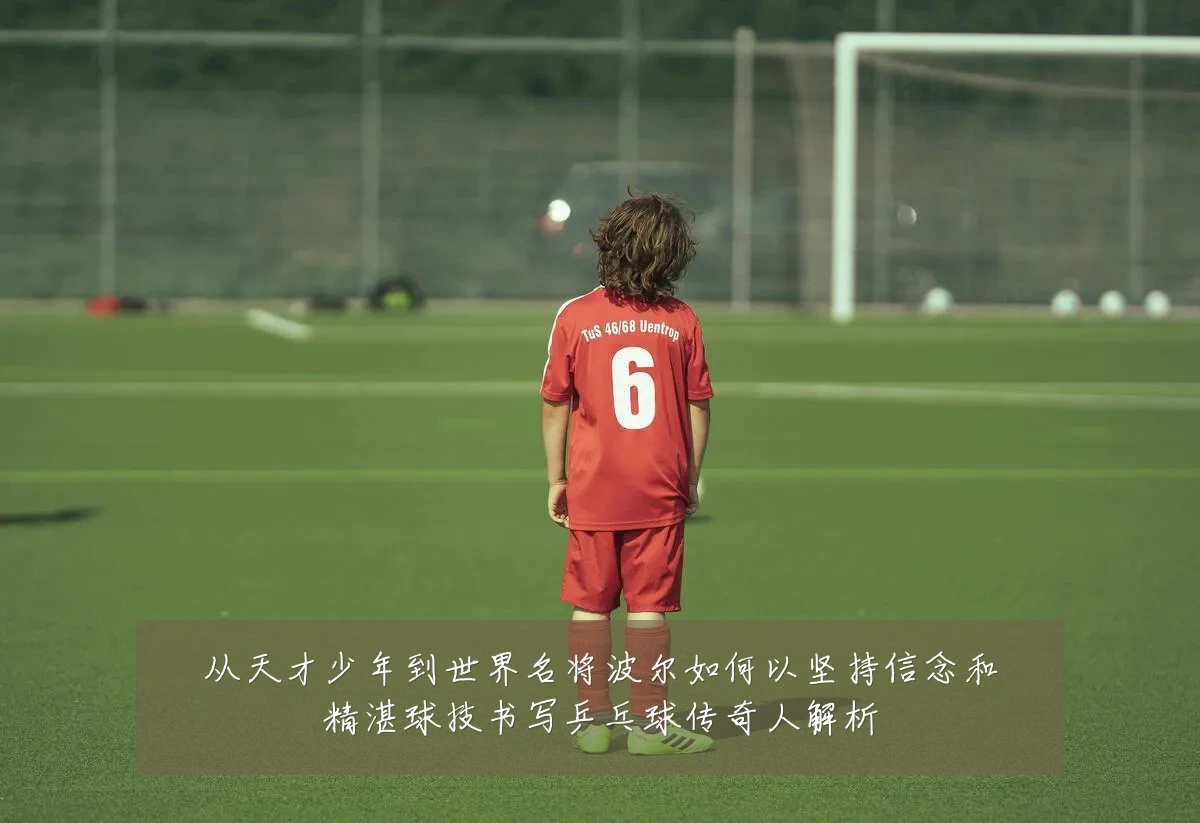 从天才少年到世界名将波尔如何以坚持信念和精湛球技书写乒乓球传奇人解析