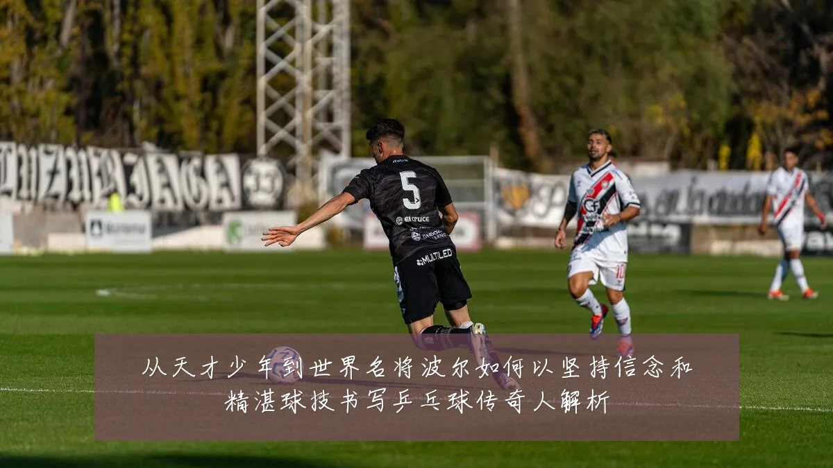 从天才少年到世界名将波尔如何以坚持信念和精湛球技书写乒乓球传奇人解析
