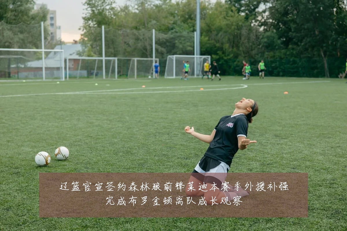 辽篮官宣签约森林狼前锋莱迪本赛季外援补强完成布罗金顿离队成长观察