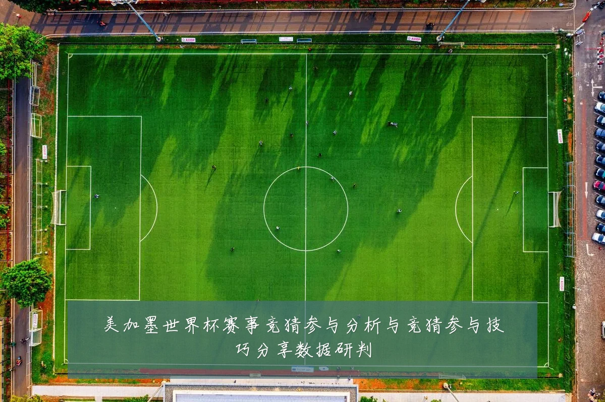 美加墨世界杯赛事竞猜参与分析与竞猜参与技巧分享数据研判